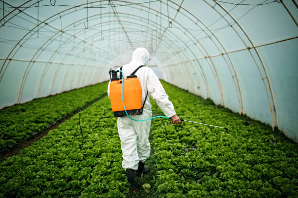  Pine Grove, CA Pest Control Pros