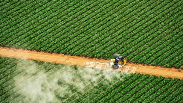Best Mosquito Control Services  in Pine Grove, CA